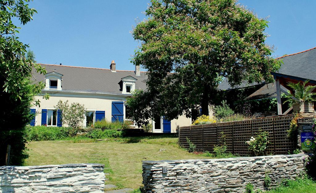 La Petite Boire - Chambres D'Hotes Pres D'Angers Murs-Erigne Ruang foto