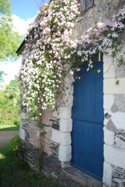 La Petite Boire - Chambres D'Hotes Pres D'Angers Murs-Erigne Bagian luar foto